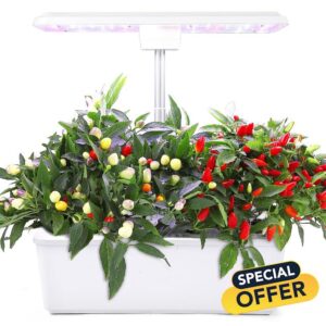 12 Pods Hydroponic System Grow Kit