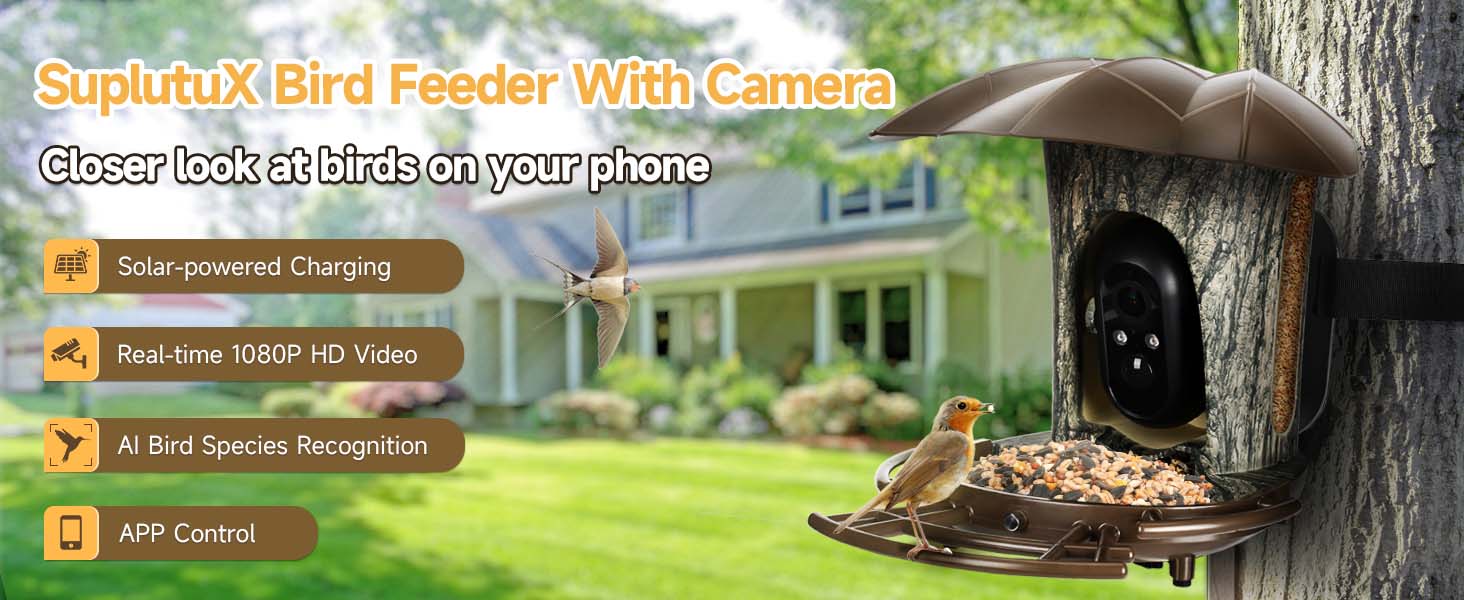 bird feeder camera