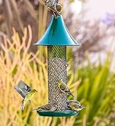 Kingsyard 2 Pack Tube Feeders with 6 Feeding Ports for Outdoors Hanging, Premium Hard Plastic Wea...