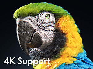 4K Support