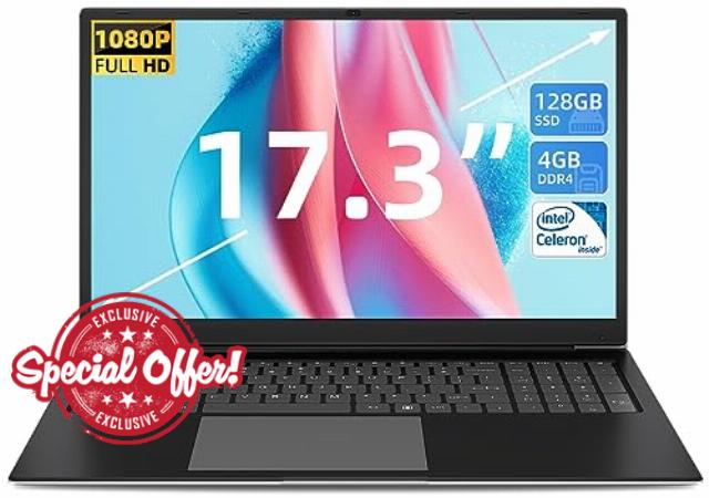 SGIN 17.3 Inch Laptop Windows 11 4GB DDR4 128GB SSD (TF 512GB)