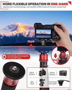 Carbon Fiber Monopod with Fluid Head