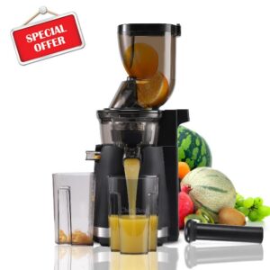 Chin-Best 250 Watt High Power Juicer - Cold Press Masticating Juicer- Slow Juicer Machines Extract More and Better Juice from a Lot of Fruits and Vegetables