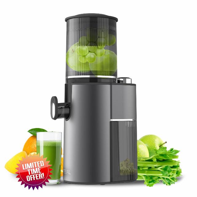 Masticating Juicer