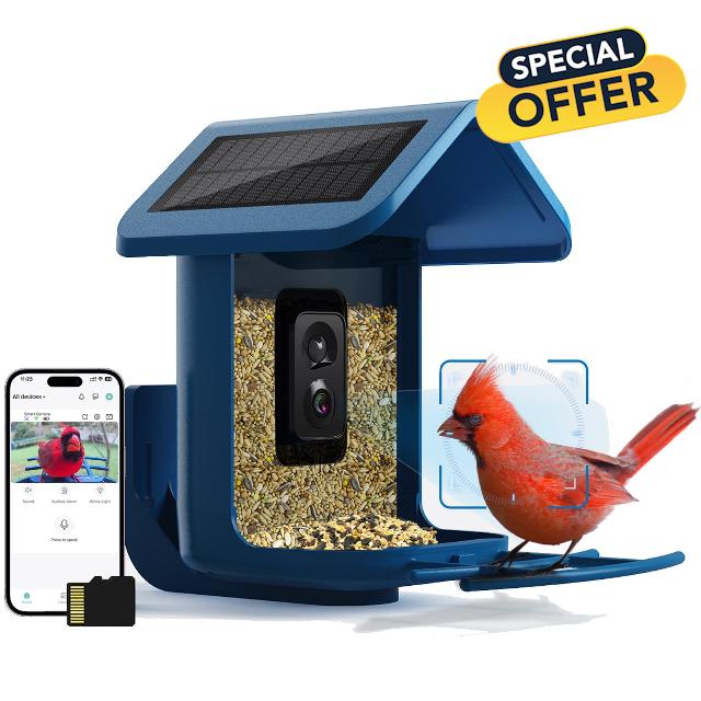 OnlyFly Bird Feeder with Camera Wireless Outdoor - Smart Bird Feeder Camera 1080P HD for Bird Watching