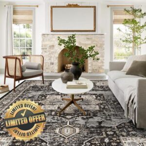 RUUGME Washable 9x12 Area Rugs - Large Rugs for Living Room Stain Resistant Carpet Vintage Rugs for Bedroom with Non Slip Backing Home Decor Floor Decoration Mat (9x12 Black)