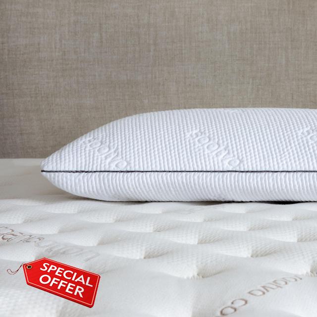 Saatva Graphite Memory Foam Pillow - Cooling Comfort & Contouring Support Ideal for Side Sleepers - Graphite Memory Foam Pillow - Removable & Machine-Washable Cotton Knit Cover - Queen (28"x16) 1 Pack