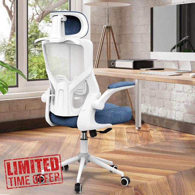 FOKESUN Ergonomic Office Chair