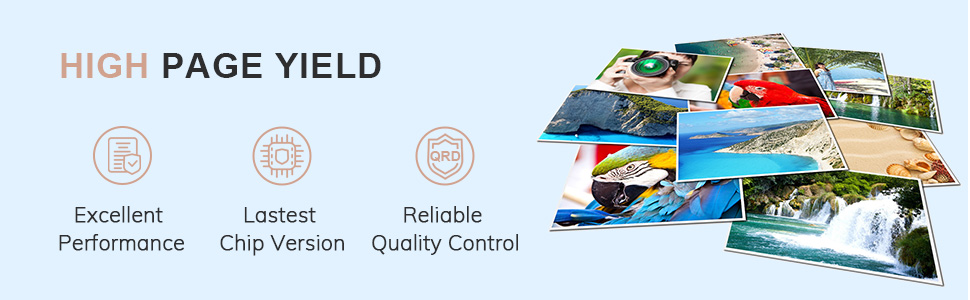 545 546 Ink Cartridges