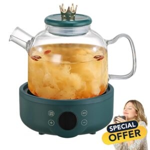 IMOCKA Mini Electric Kettle