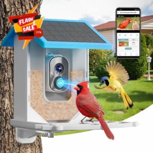 Smart Bird Feeder with Camera