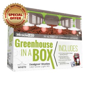Miracle LED Greenhouse in a Box Indoor Grow Kit with White Designer Shade -Includes 4 Absolute Daylight Red Spectrum 100W Replace Grow Bulbs & 1 4-Socket Hanging Lights with Shade & Timer