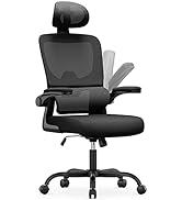 naspaluro Office Chair, Ergonomic Office Chair, Desk Chair with Hanger, 2D Lumbar Support and 3D ...