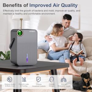 Dual Semiconductor Silent Dehumidifier