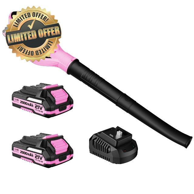 Leaf Blower Cordless with 2 Batteries and Charger