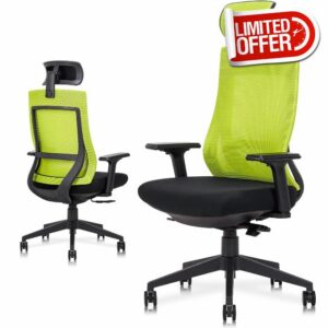 Dindiri Ergonomic Gaming Chair