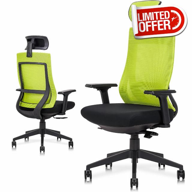 Dindiri Ergonomic Gaming Chair