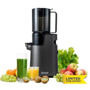 Larinest Slow Masticating Juicer Machines Cold Press Juicer Machines with 4" Wide Chute Pure Juicer Machine for Vegetables and Fruits
