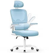 DESK CHAIR
