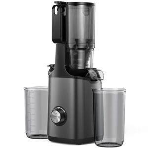 JoyBear Slow Masticating Machines with 4.3" Extra Large Feed Chute Fit Whole Fruits Vegetables Easy Clean Self Feeding Effortless for Batch Juicing