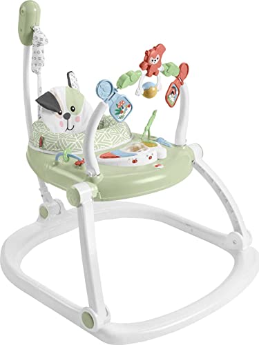 Puppy Perfection & Fisher-Price Baby Playmat Deluxe Kick & Play Piano Gym with Musical -Toy Lights
