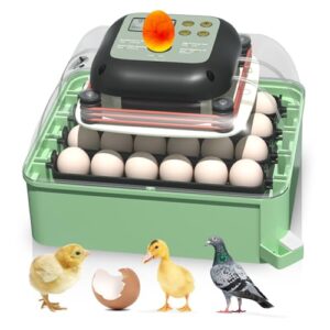 24 Eggs Incubator with Automatic Egg Turning and Humidity Control