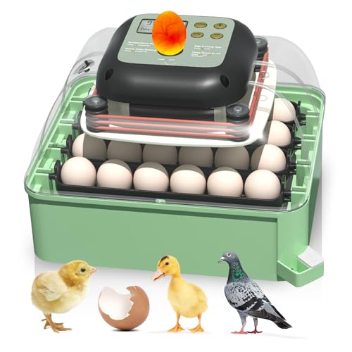 24 Eggs Incubator with Automatic Egg Turning and Humidity Control
