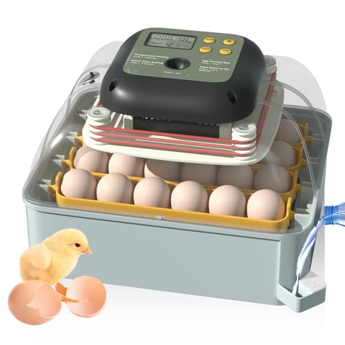 Egg Candler