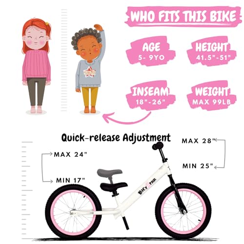 Toddler Bicycle Ages 5-8