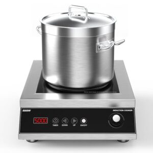 Professional Induction Cooktop