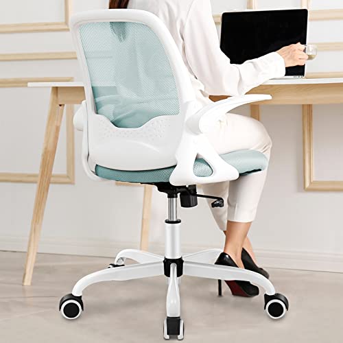 Ergonomic Desk Chair