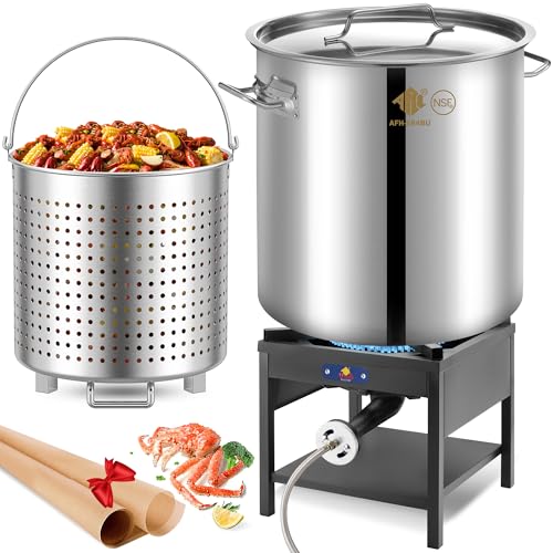000BTU Propane Fryer