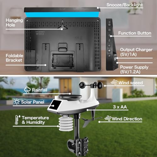 Digital Professional Weather Stations with Rain Gauge and Wind Speed/Direction
