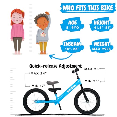 Toddler Bicycle Ages 5-8