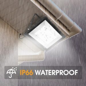 2000W Equivalent 43500LM 5000K Daylight White Super Bright FloodLight with Plug
