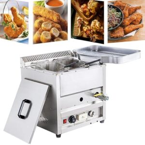 Countertop Propane Gas Fryer
