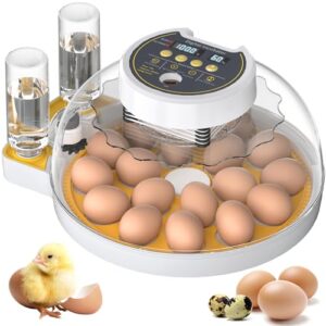egg candle
