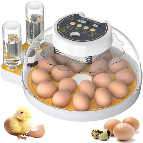 egg candle
