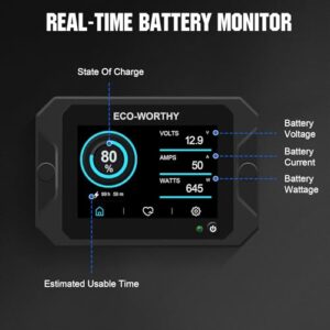 9-80V Battery Monitor for Li-ion/LiFePO4/AGM/Gel Battery in Golf Cart/RV/Solar System