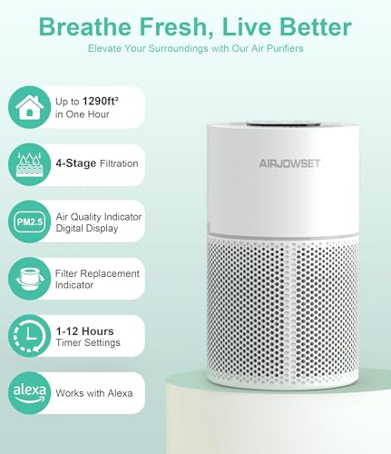 AIRJOWSET H13 True HEPA Filter