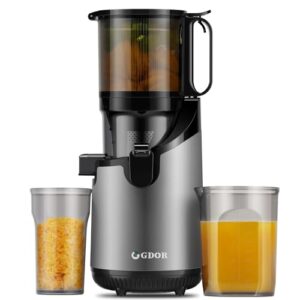 GDOR Self Feeding Cold Press Juicer with 250W Motor
