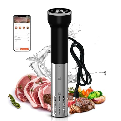 Immersion Circulator Precise Cooker