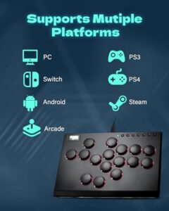 All-Button Arcade Controller for Switch