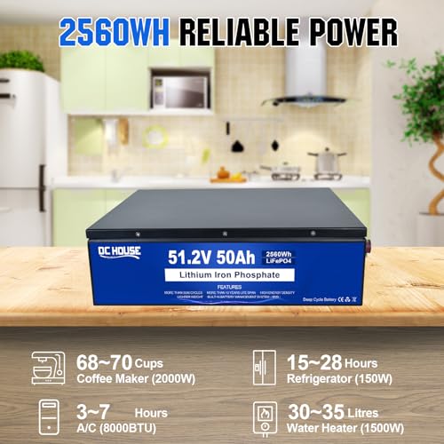 Built-in Smart 50A BMS Peak Current 200A