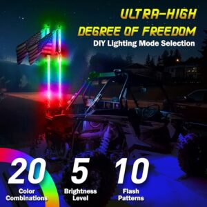 Chasing Lighted Whip Lights
