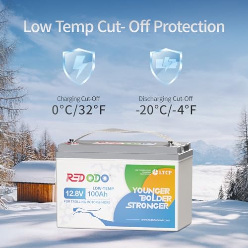 Low Temp Protection Group 31 Battery with Upgraded 100A BMS