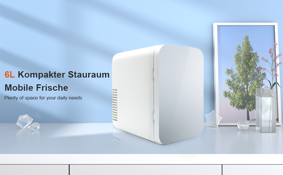 Mini Fridge