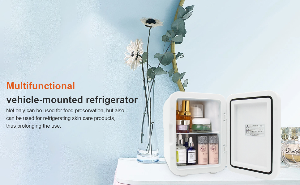 Mini Fridge