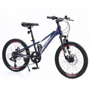 7 Speeds Drivetrain Kids Bicycle with Suspension Fork