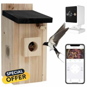 Smart Bird House with WiFi Camera